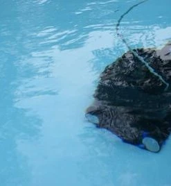 Swim & Fun Scooby Bassengrobot -icewarehouse shop 1054 3402 3g